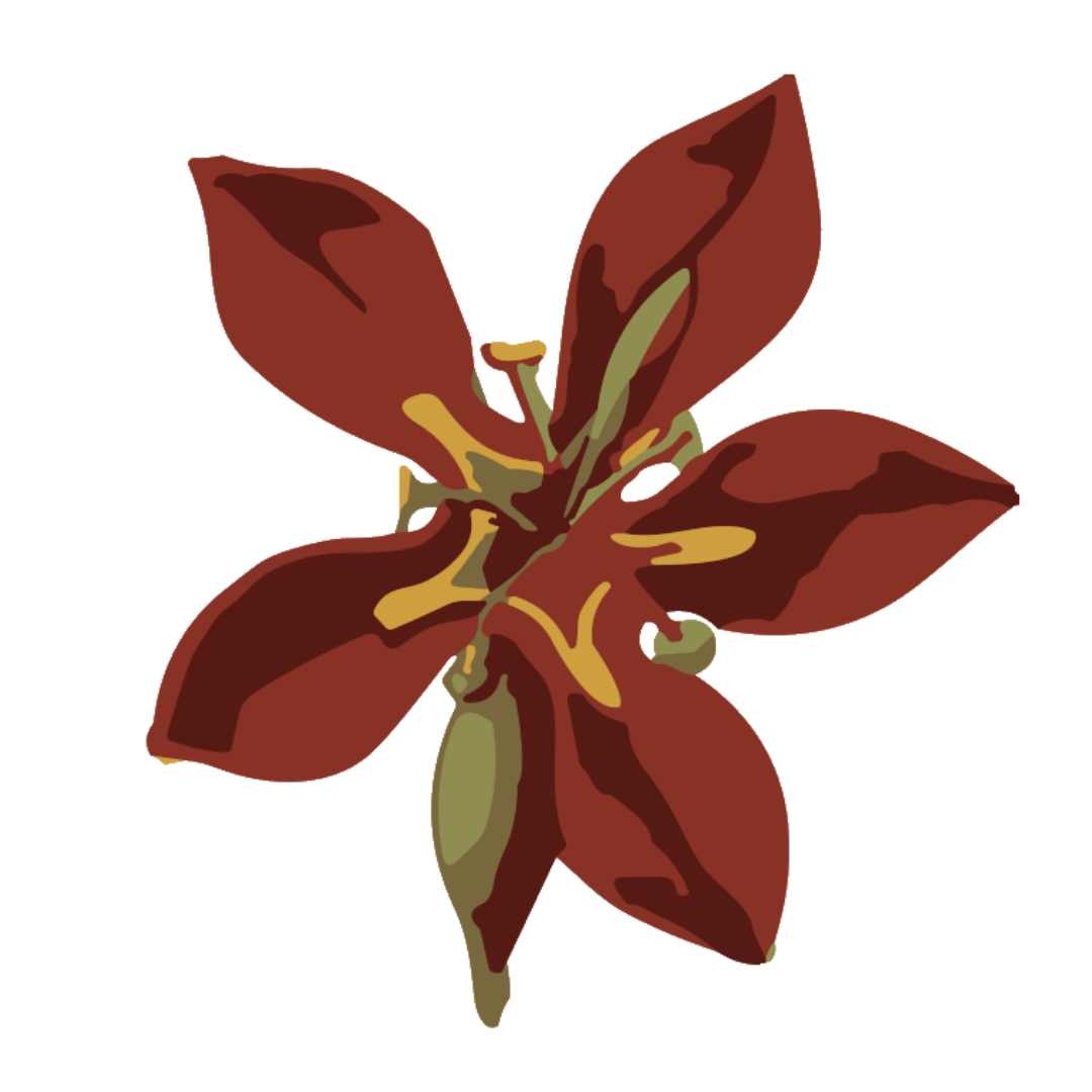 Lenguas Maternas Panama